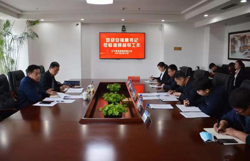 安锡鹏调研督导公司党支部党史学习教育等三项工作